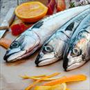 Cassazione: anche al 41bis va assicurata una dieta bilanciata soprattutto se il detenuto  allergico al pesce azzurro