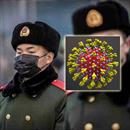 Corona virus nelle carceri cinesi: oltre 500 casi dichiarati, si teme l'epidemia nei penitenziari