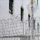 Bari, detenuto rimane impigliato nel filo spinato mentre cerca di evadere dal carcere: bloccato dalla Polizia Penitenziaria
